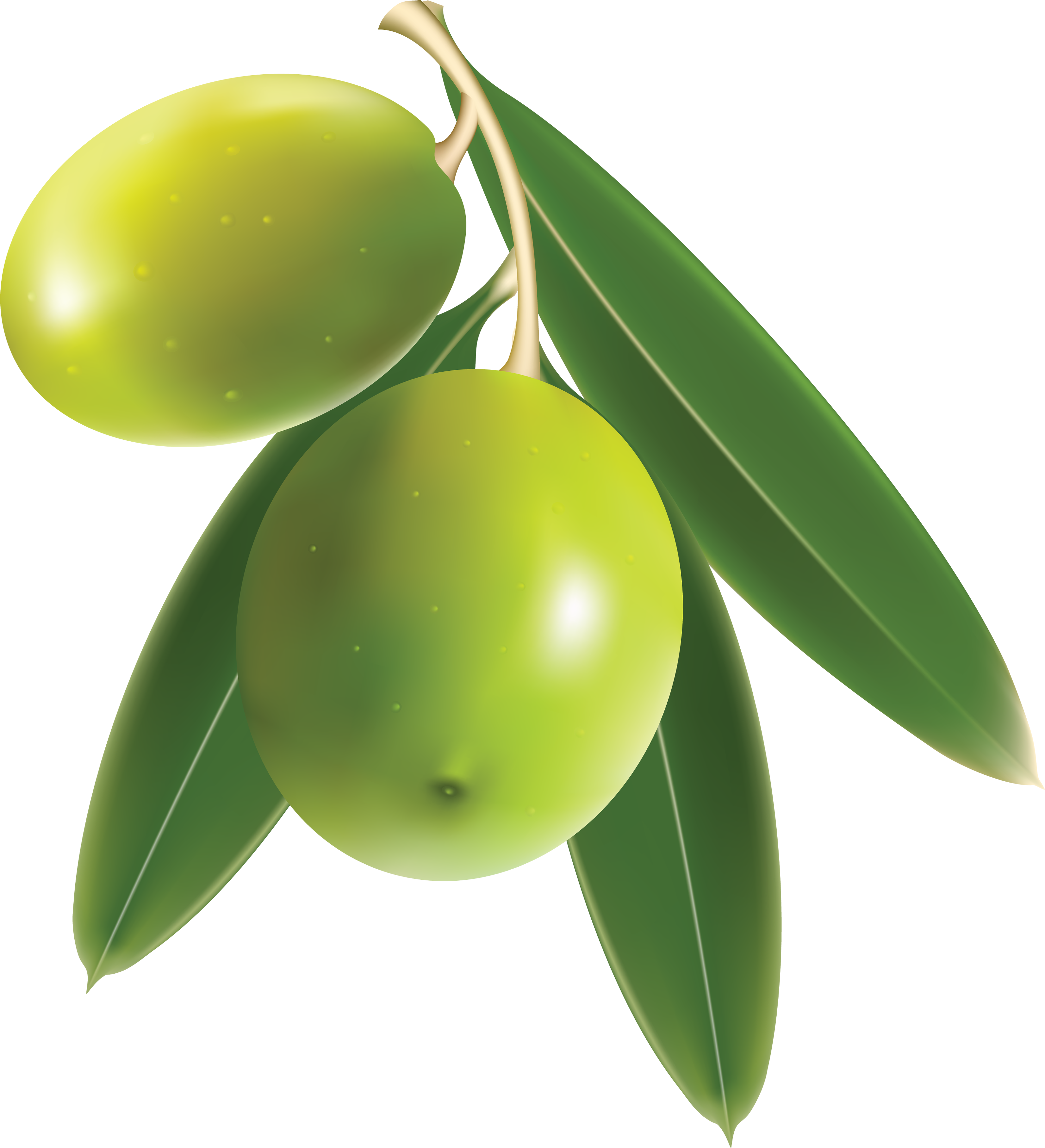 Olive-Transparent-PNG
